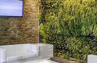 Installation d'un mur végétal intérieur dans un salon